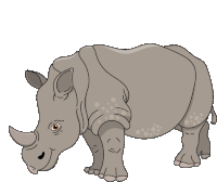 Gif animé rhinocéros se repose